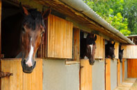 free Gwern Y Brenin stable construction quotes
